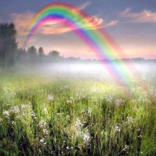 Transformational Life Coaching rainbow 320x320 - Transformational Life Coaching
