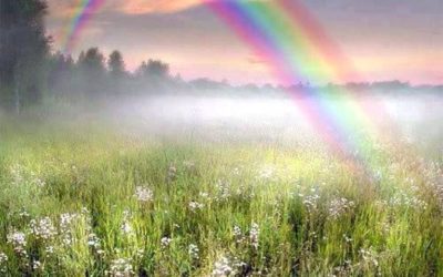 Blog rainbow 400x250 - Blog