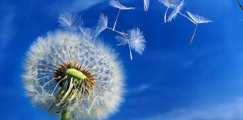 Strategic Intervention Coaching in Brighton